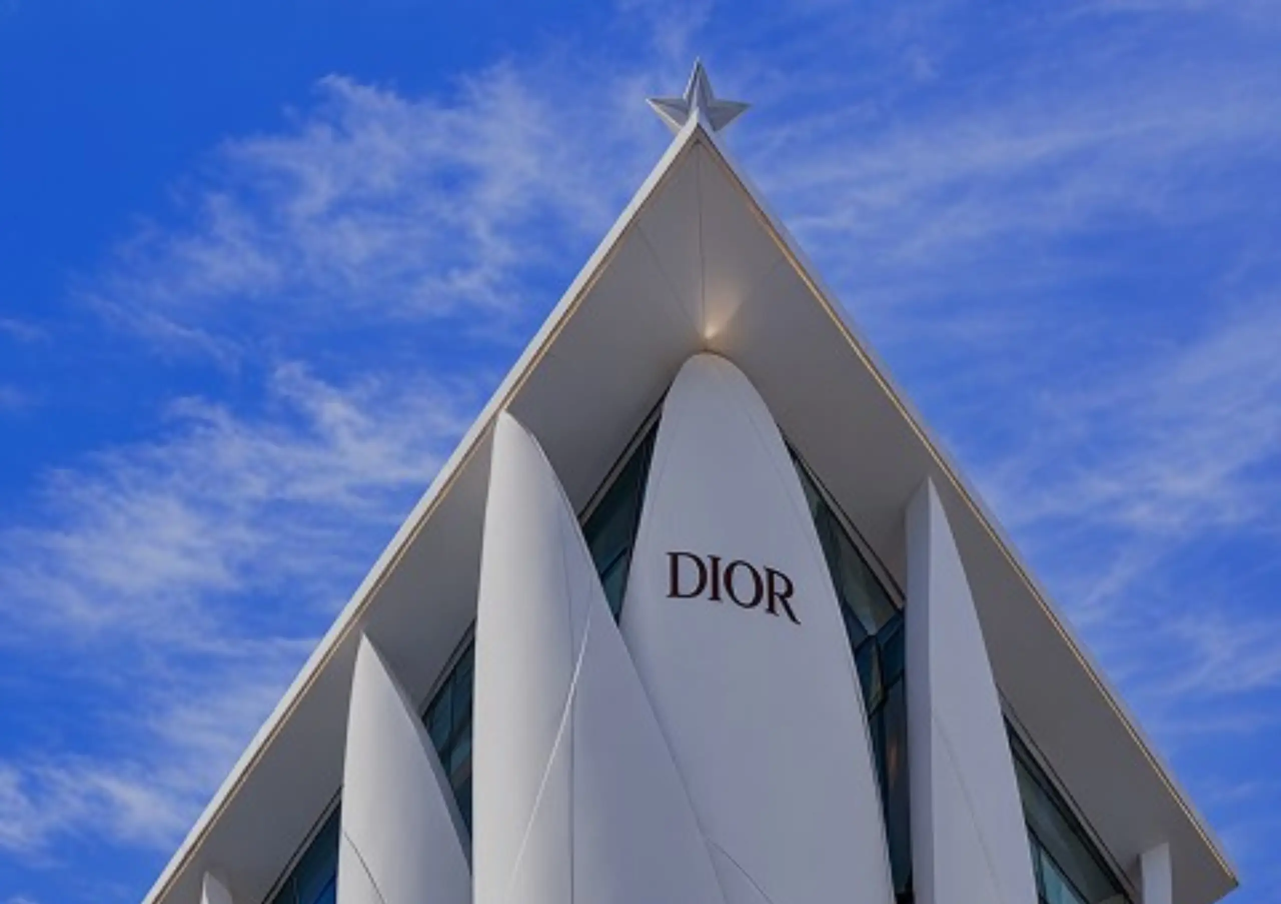 dior-1
